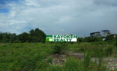 14,323 sqm Commercial/Industrial Lot for Sale - Taguig City