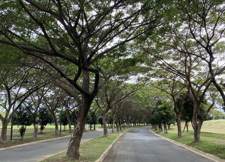 Luscara, Canlubang, Calamba, Laguna image 2