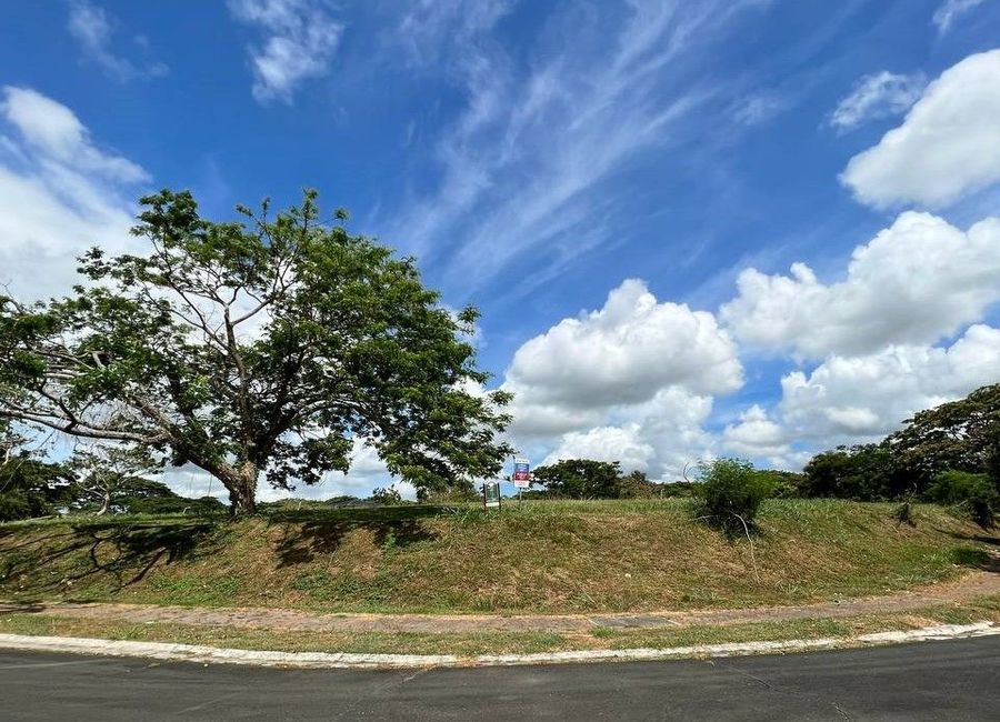 Ecology Avenue, Elaro Nuvali, Canlubang, Calamba, Laguna image 2
