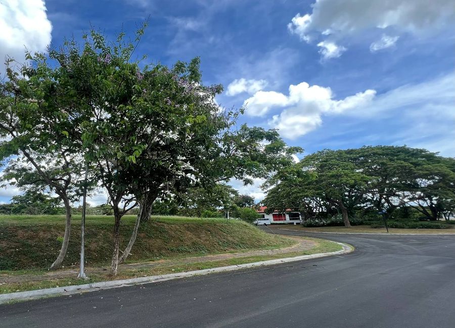 Ecology Avenue, Elaro Nuvali, Canlubang, Calamba, Laguna