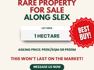 BEST BUY! RARE PROPERTY ALONG SLEX