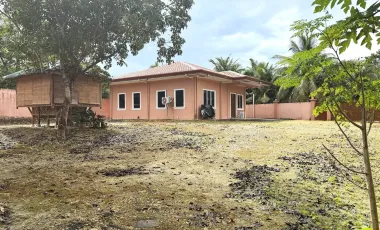 3-Bedroom House and Lot for Sale - 785 sqm - Dampas, Tagbilaran