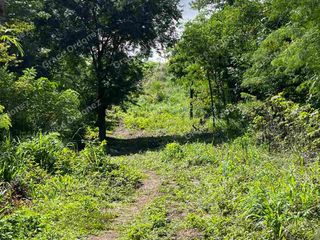 CHEAP  AGRI LOT 4.2has in Antipolo