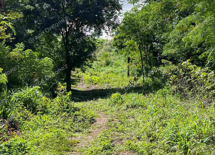 Boso-Boso Road, Old Boso-boso, Tanza Ⅱ, Antipolo, Rizal