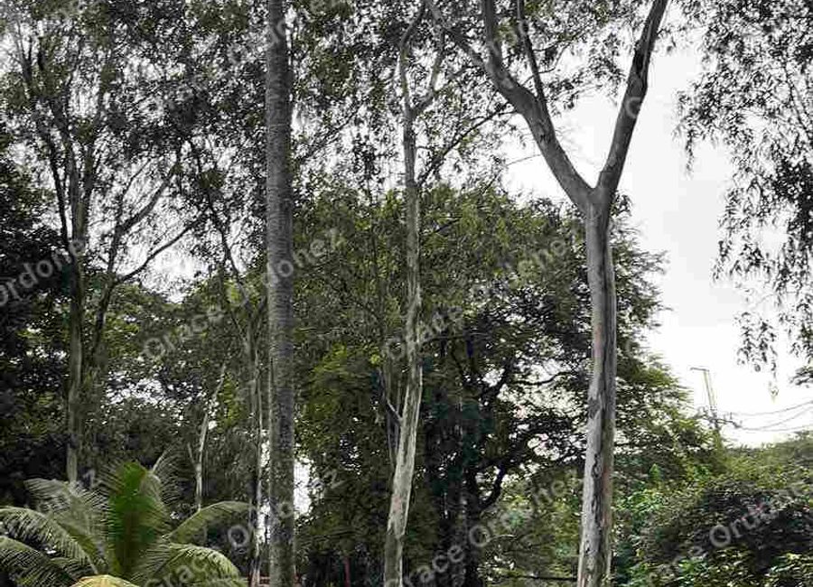 Boso-Boso Road, Old Boso-boso, Tanza Ⅱ, Antipolo, Rizal image 2