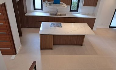 45M new House and lot for sale in Lindenwood Residences