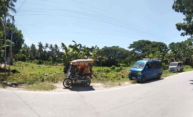 LOT FOR SALE - Valladolid, Carcar, area of 5,000 sqm
at P6,000/sqm