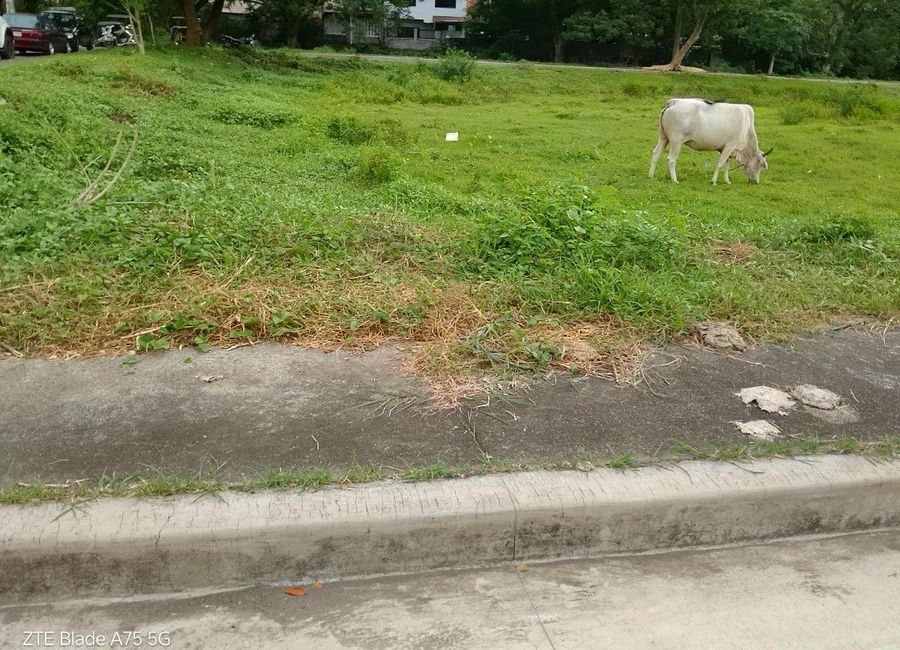 Bacoor Boulevard, Princeton Heights Subdivision, San Nicolas I, Bacoor, Cavite image 2