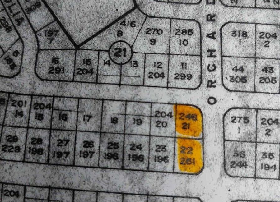 Bacoor Boulevard, Princeton Heights Subdivision, San Nicolas I, Bacoor, Cavite