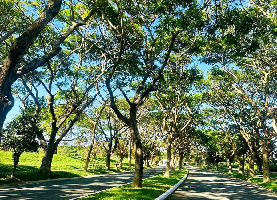 Nuvali Boulevard, Santo Domingo, Santa Rosa, Laguna