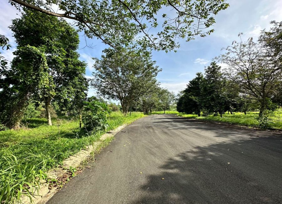 Nuvali Boulevard, Santo Domingo, Santa Rosa, Laguna image 3