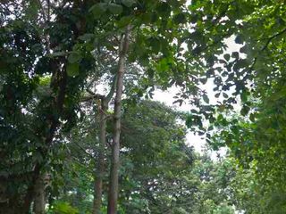 Disewakan Lahan Kosong di Cimanggis Depok