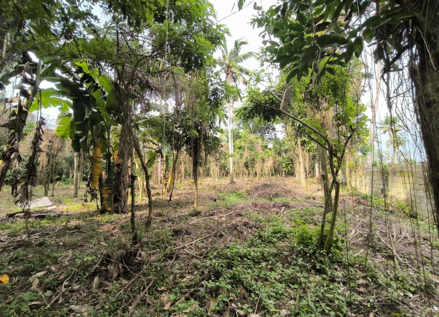 Ona - Lodlod Road, Pangao, Lipa, Batangas