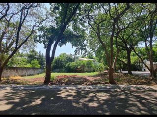 HILLSBOROUGH ALABANG VACANT LOT FOR SALE NEAR AYALA ALABANG ALABANG HILLS PALMS POINTE ALABANG