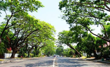 AYALA ALABNAG VILLAGE CORNER LOT FOR SALE near PALMS POINTE ALABANG HILLSBOTOUGH ALABANG HILLS DAANG HARI ALABANG MUNTINLUPA
