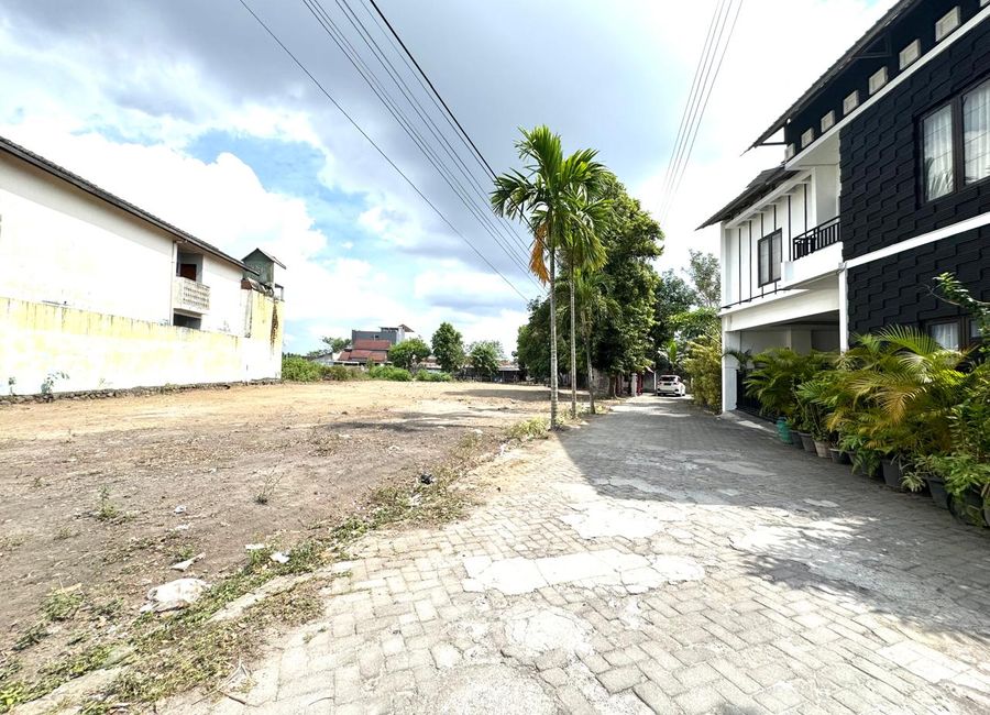 place photo 7