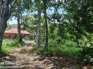 Titled Lot for Sale – Taloto, Tagbilaran City  | BOHOLANA REALTY