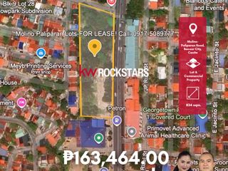 Prime Commercial Lots for Lease on Molino-Paliparan Road, Bacoor City – High Traffic Location