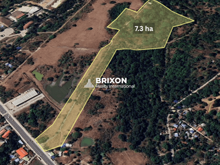 7.3 Hectares Residential Subdivision Lot for Sale – Orani, Bataan