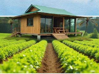 Agrihood Communites 171 sqm Clean title for Sale in Tarlac