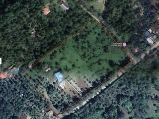FOR SALE: 2.4453 Has. Raw Land in Barangay Tala, Orani, Bataan