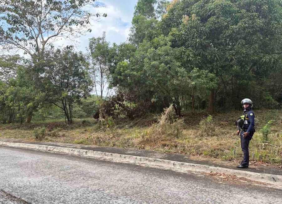 Forest Hills Avenue, Lower Tulakin, Bagong Nayon, Antipolo, Rizal