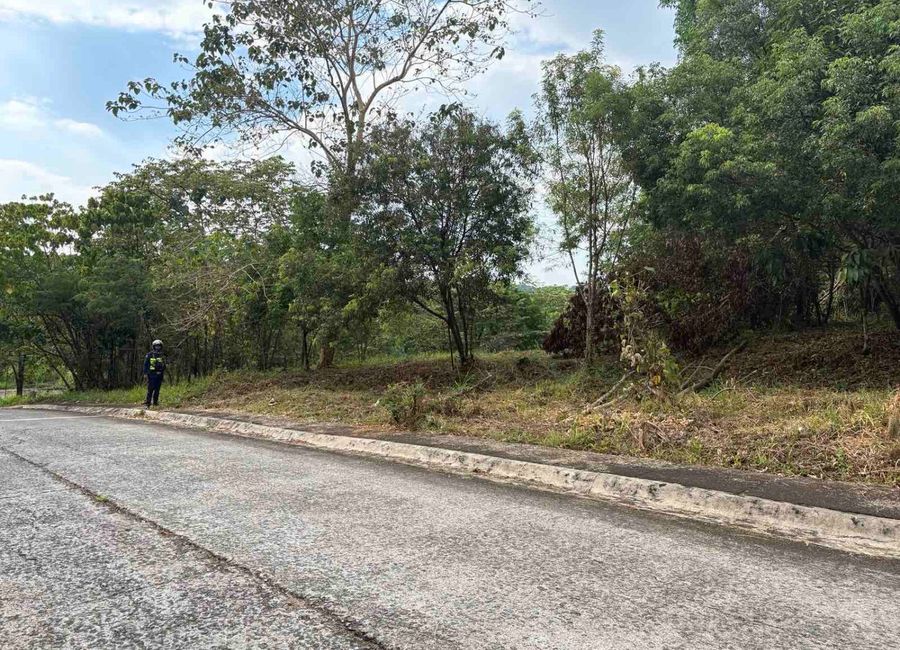 Forest Hills Avenue, Lower Tulakin, Bagong Nayon, Antipolo, Rizal image 2