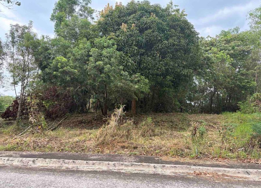 Forest Hills Avenue, Lower Tulakin, Bagong Nayon, Antipolo, Rizal image 3