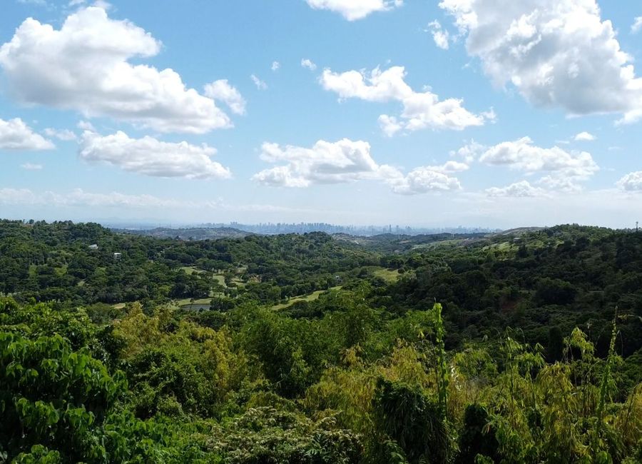 Forest Hills Avenue, Lower Tulakin, Bagong Nayon, Antipolo, Rizal image 3