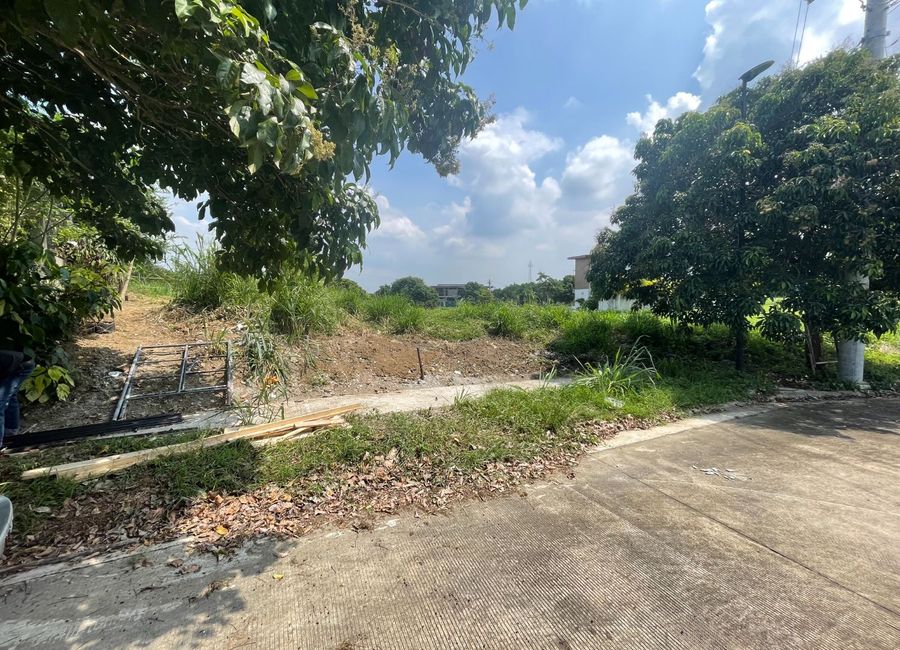 Lumira, Canlubang, Calamba, Laguna image 3