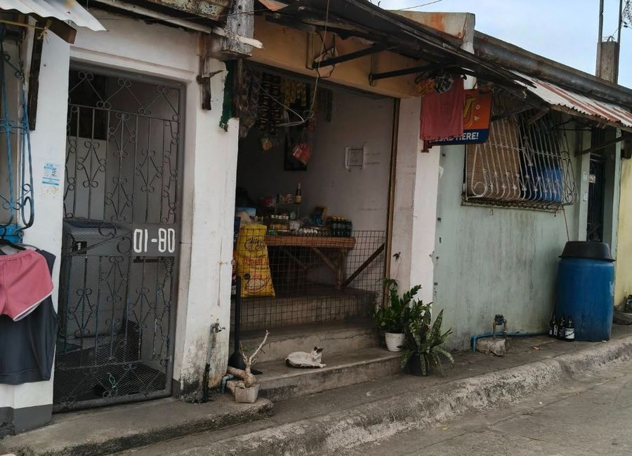 Carissa Homes East 1 Bagumbayan, Bagumbayan, Teresa, Rizal image 2
