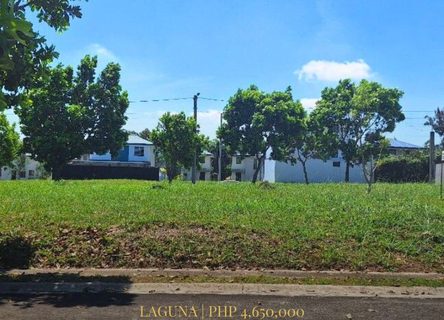 East Diversity Avenue, Canlubang, Calamba, Laguna