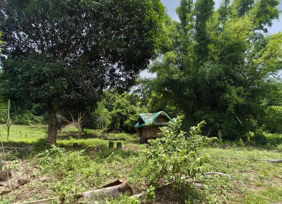 J. P. Rizal Street, Lakeside Park Subdivision, Yakat, Quisao, Pililla, Rizal image 2
