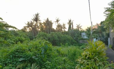 Dijual tanah di jalan utama pantai pererenan canggu.