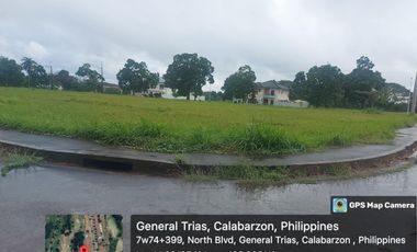 Price Dropped - 589 sqm Residential Lot in Eagle Ridge Golf and Country Club