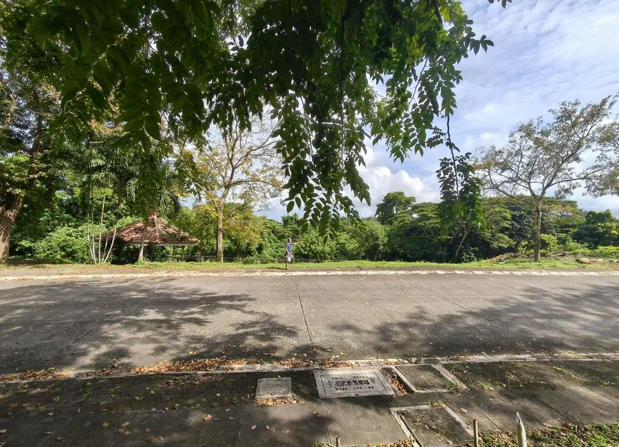 Rizal Boulevard, Malusak, Santa Rosa, Laguna image 3