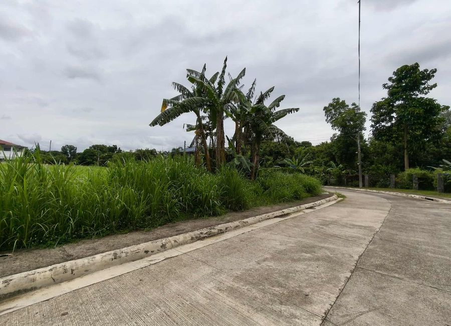 Avida Residences Santa Monica, Latag, Latag, Lipa, Batangas image 3