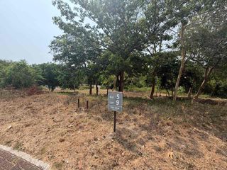 Beach Property at Anvaya Southcoast Lot with Ocean View