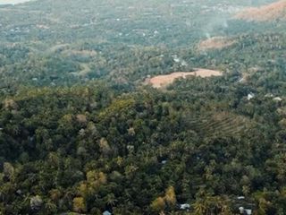 Dijual Tanah Strategis Area Madenan Tejakula Bali