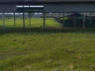 jual tanah 12.500 m ,  Cibitung , tanah rata ex pabrik