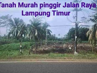 Tanah Murah Lampung Timur