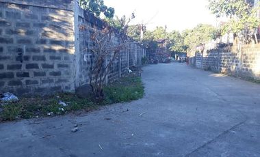 COMMERCIAL VACANT LOT FOR SALE IN CALOOCAN