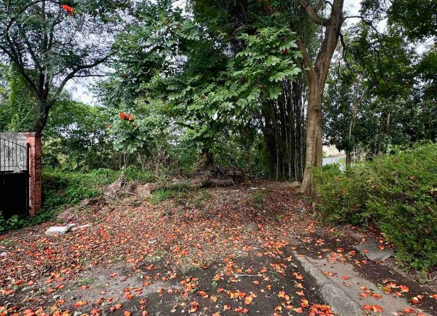 Mulberry Drive, The Glens at Park Spring, San Antonio, San Antonio Zone 3, San Pedro, Laguna