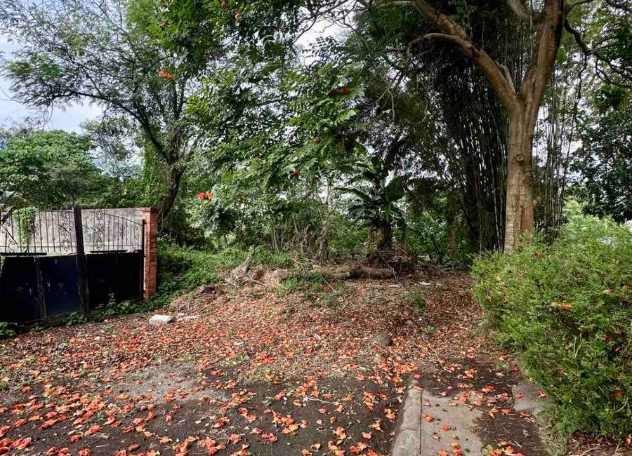 Mulberry Drive, The Glens at Park Spring, San Antonio, San Antonio Zone 3, San Pedro, Laguna image 2
