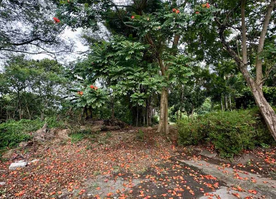 Mulberry Drive, The Glens at Park Spring, San Antonio, San Antonio Zone 3, San Pedro, Laguna image 3