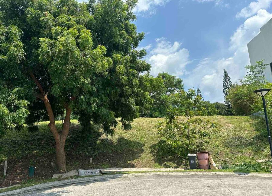 Spine Road, Ayala Greenfield Estates, Maunong, Calamba, Laguna
