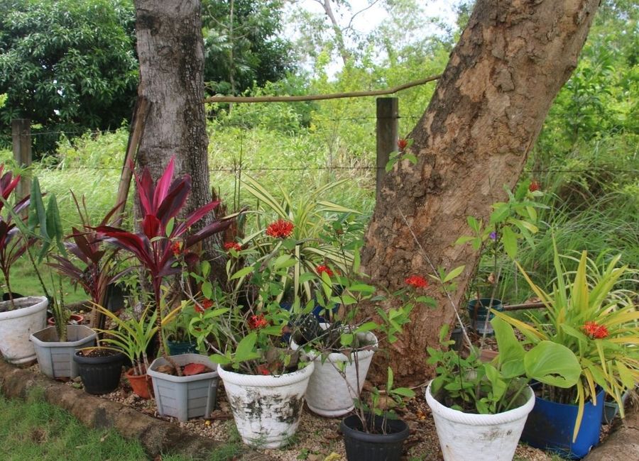 place photo 17