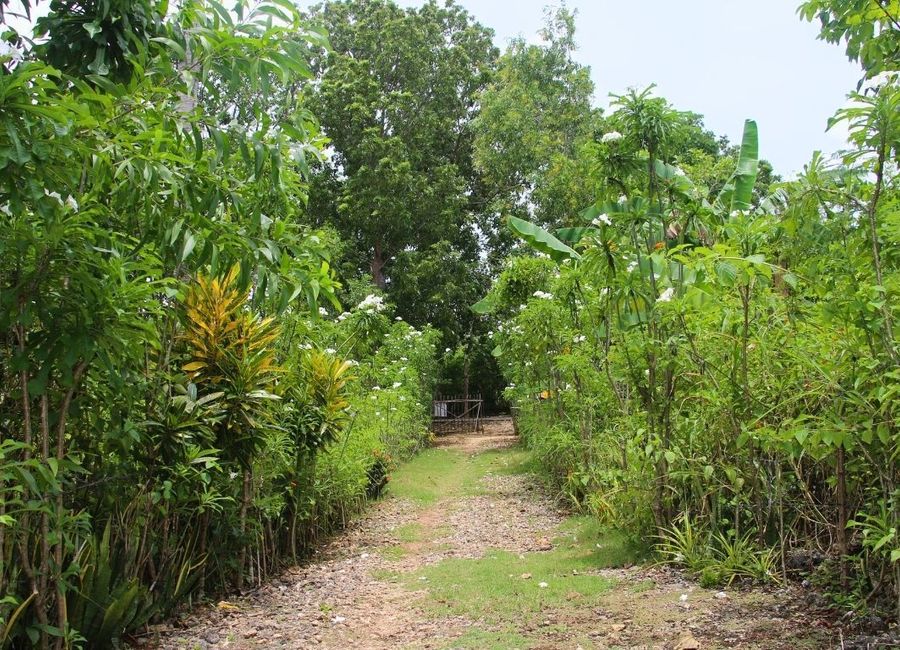 place photo 18