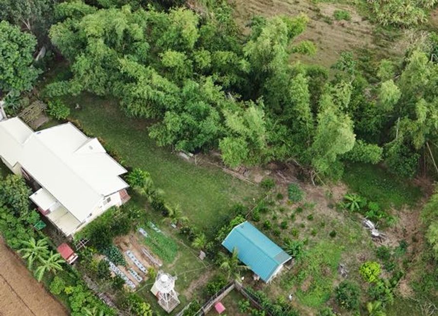 Acle, Tuy, Batangas image 3