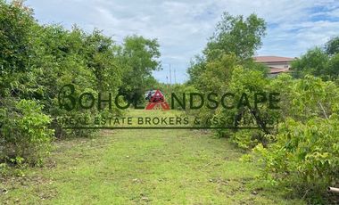 Residential Lot for Sale located in Danao, Panglao Island, Bohol